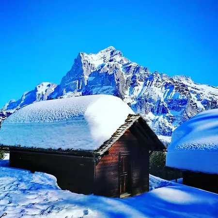 Apartment Swisshut Stunning Views Alps - Apart. Molly Sigriswil