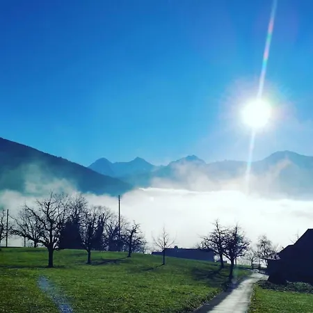 Lake Thun Alps Scenic Views And Concierge By Swisshut Appartement