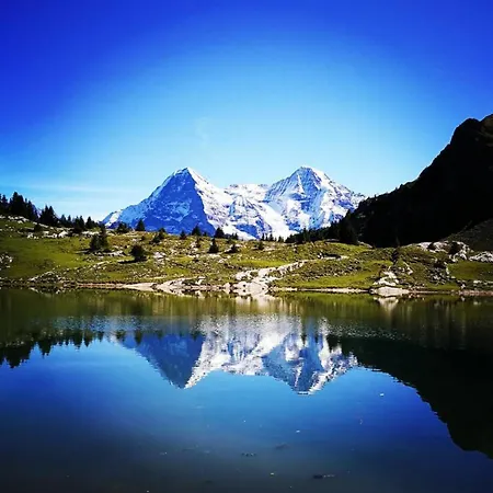 Apartment Swisshut Stunning Views Alps - Apart. Molly