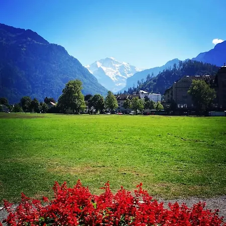 Lake Thun Alps Scenic Views And Concierge By Swisshut Appartement Sigriswil