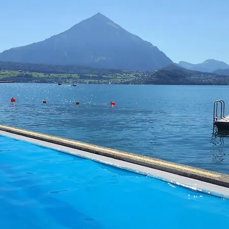 Thun Alps Scenic Views And Concierge By Swisshut Daire *