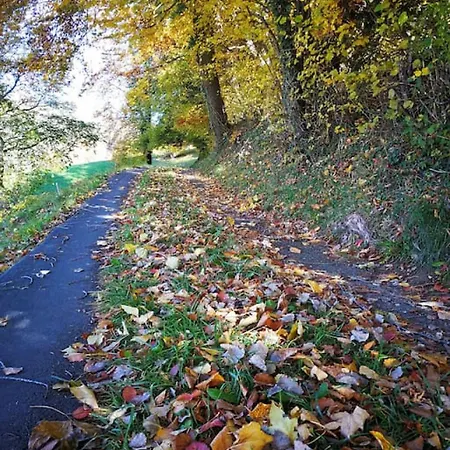 Thun Alps Scenic Views And Concierge By Swisshut Sigriswil