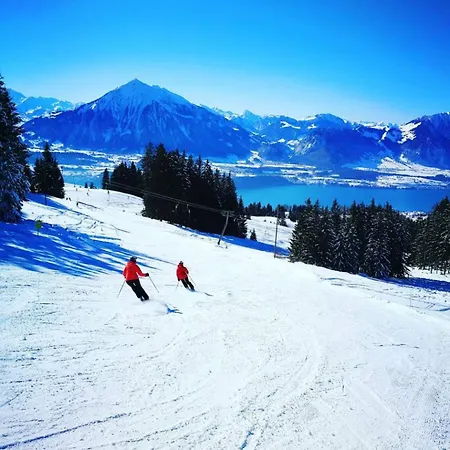 Lake Thun Alps Scenic Views And Concierge By Swisshut * Sigriswil