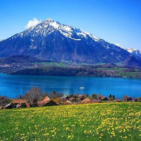 Lägenhet Lake Thun Alps Scenic Views And Concierge By Swisshut *