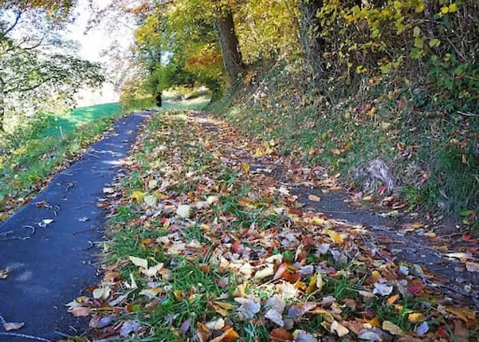 Thun Alps Scenic Views And Concierge By Swisshut Sigriswil